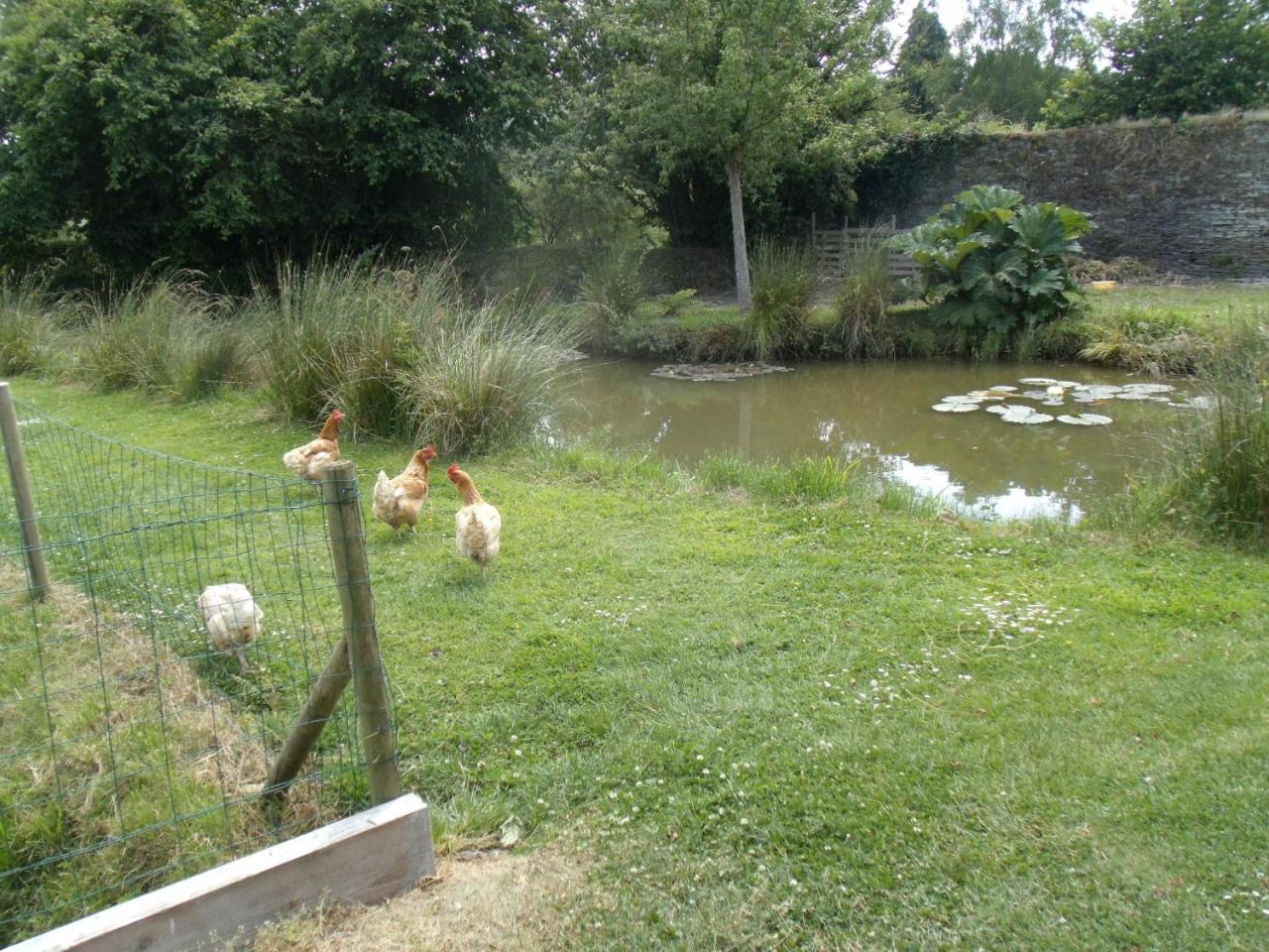 Le Tertre Bed and Breakfast La Feuillie  Buitenkant foto